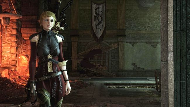 dragon age 2 characters are not playersexual